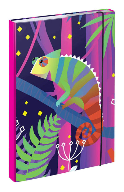 Teczka szkolna A4 Kameleon