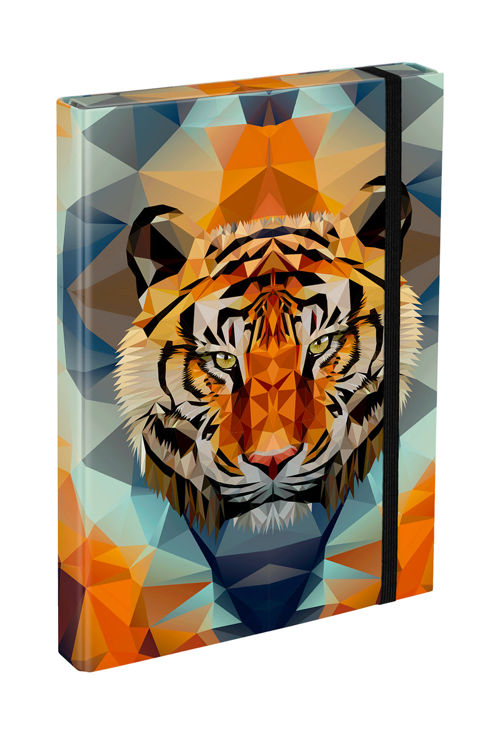 Teczka szkolna A4 Tiger