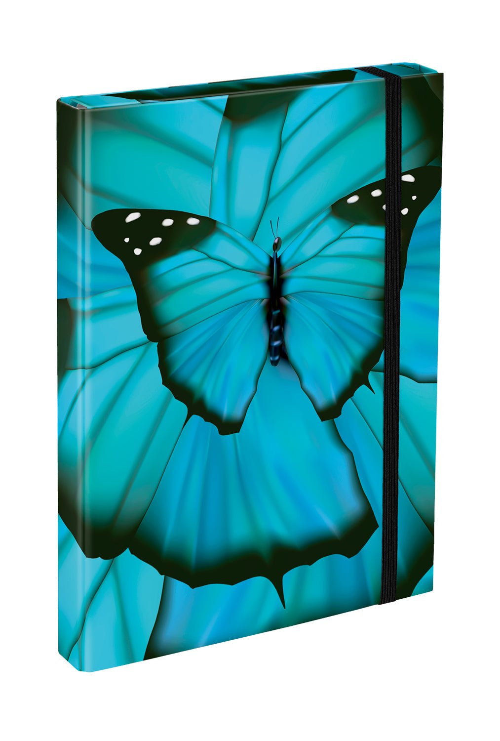 Teczka szkolna A4 Butterfly