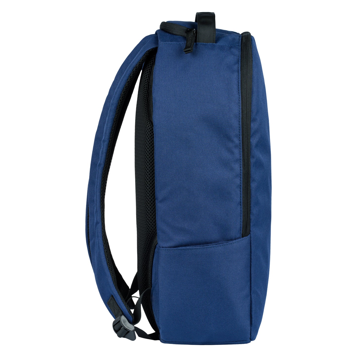 Placek eARTh Blue
