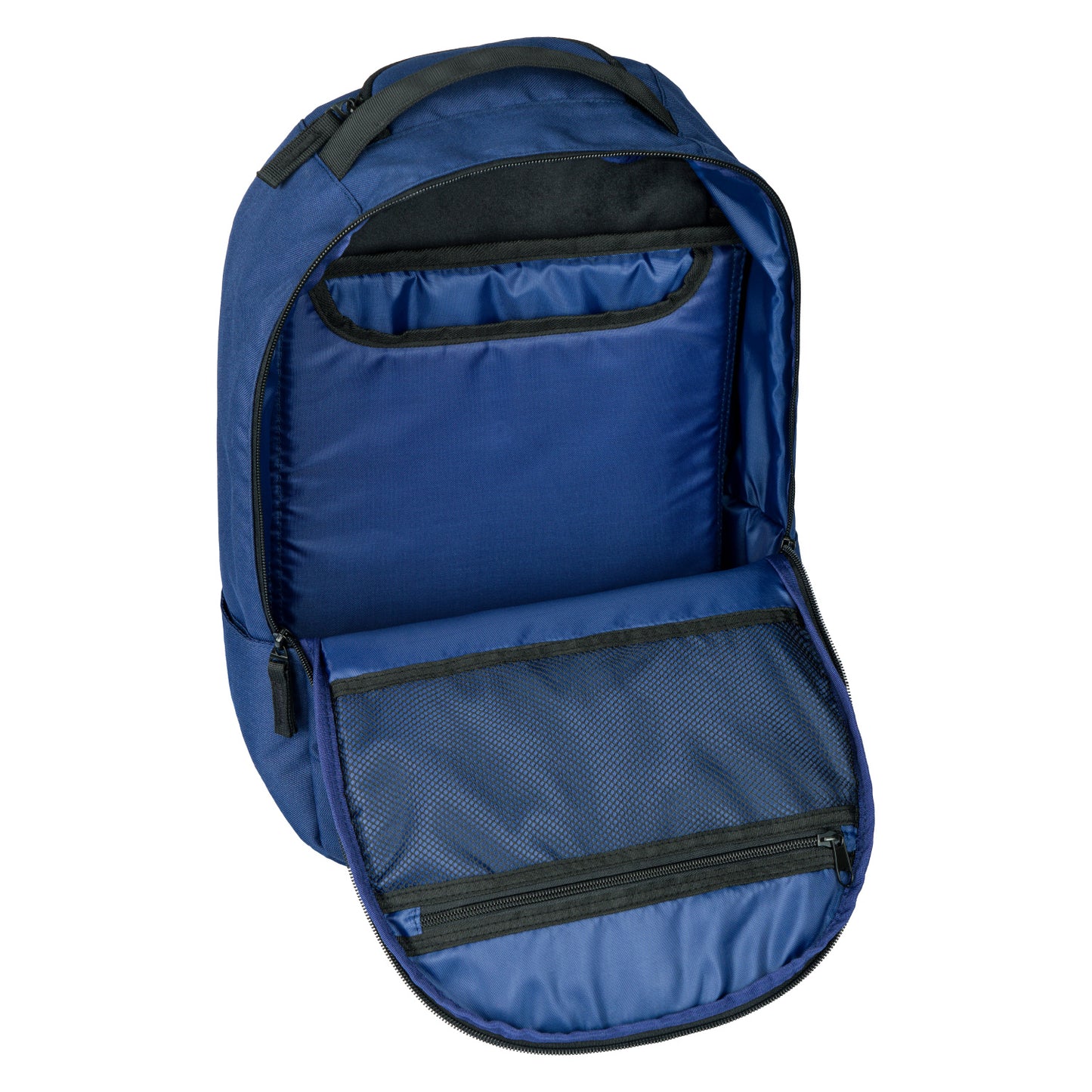 Placek eARTh Blue