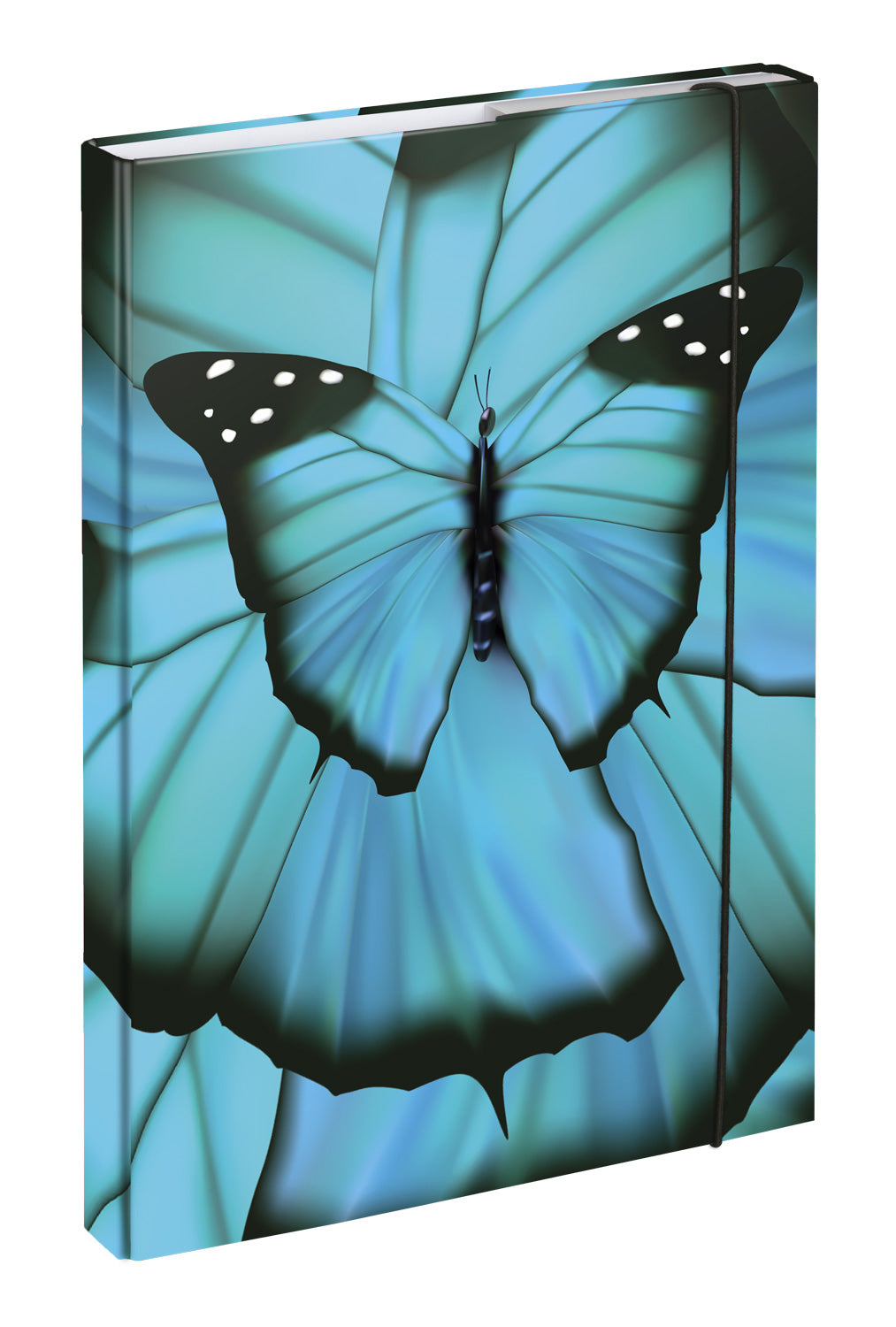 Zestaw szkolny Ergo Butterfly II
