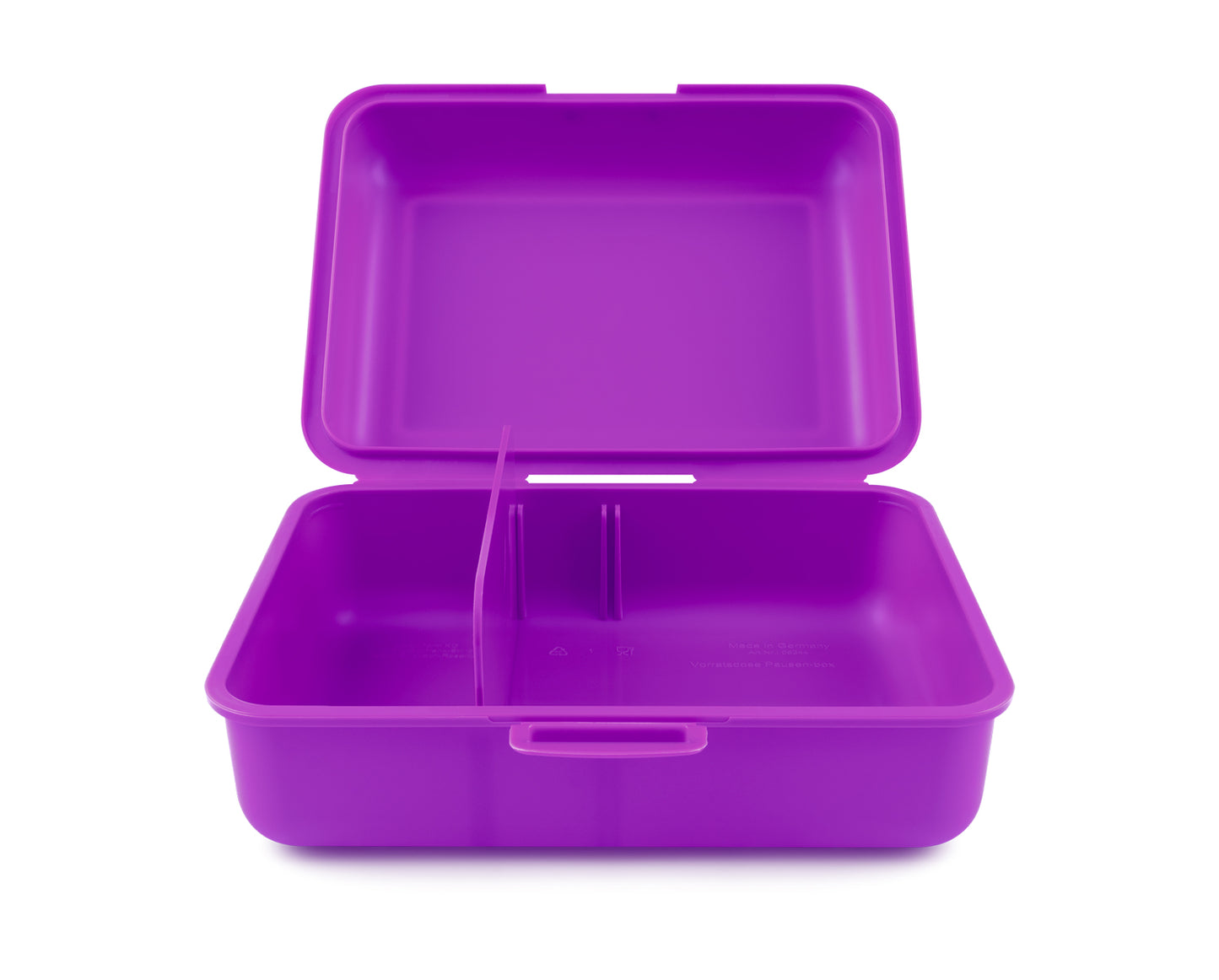 Śniadaniówka Ambystoma meksykańska