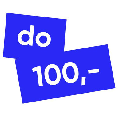 Poniżej 100 zł