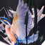 Placek eARTh - Kingfisher by Caer8th