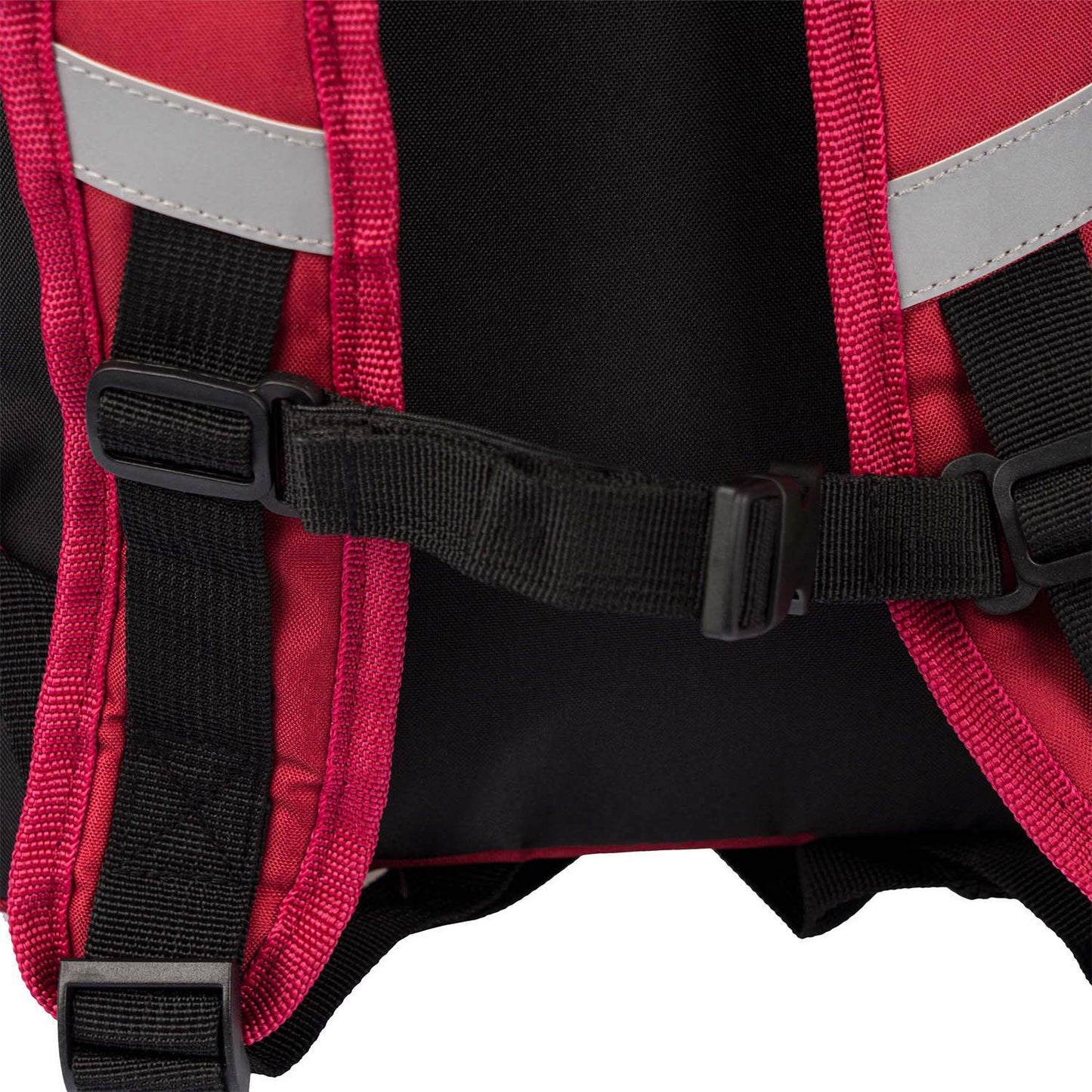 Plecak przedszkolny Harry Potter Hadwiga