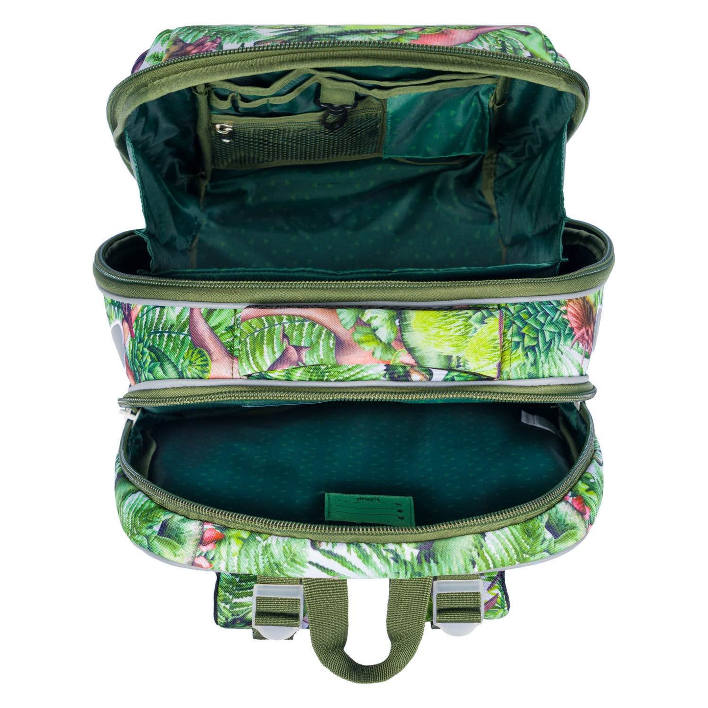 Zestaw szkolny Shelly Dinosaurs