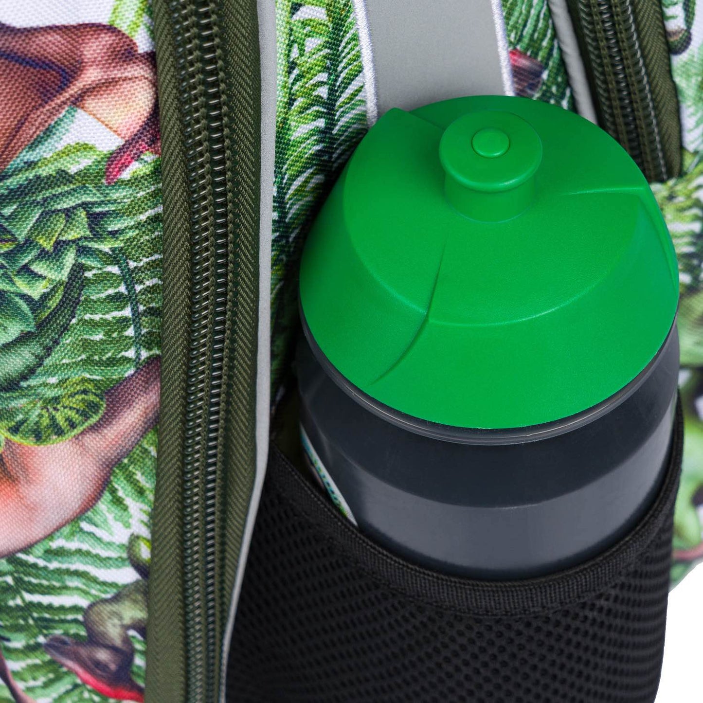 Zestaw szkolny Shelly Dinosaurs