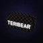 Zestaw szkolny Skate TERIBEAR