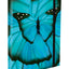 Teczka szkolna A4 Butterfly