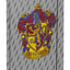 Zestaw szkolny Zippy Harry Potter Gryffindor II