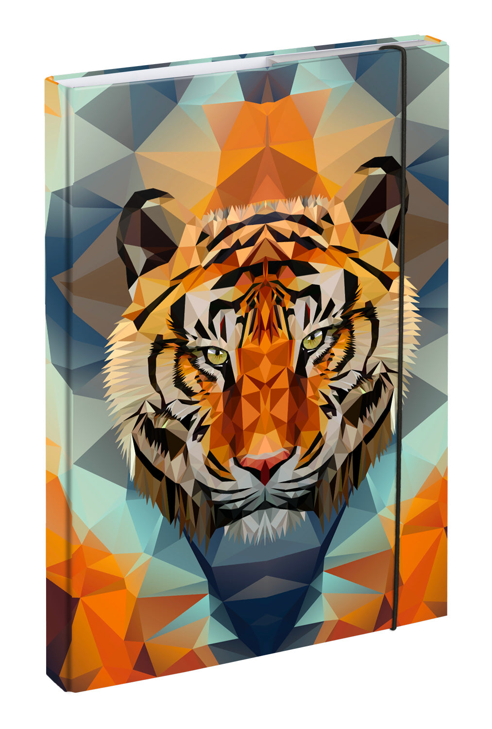 Zestaw szkolny Shelly Tiger II