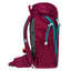 Placek Tracker Roj