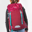 Placek Tracker Roj