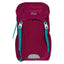 Placek Tracker Roj