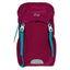 Placek Tracker Roj