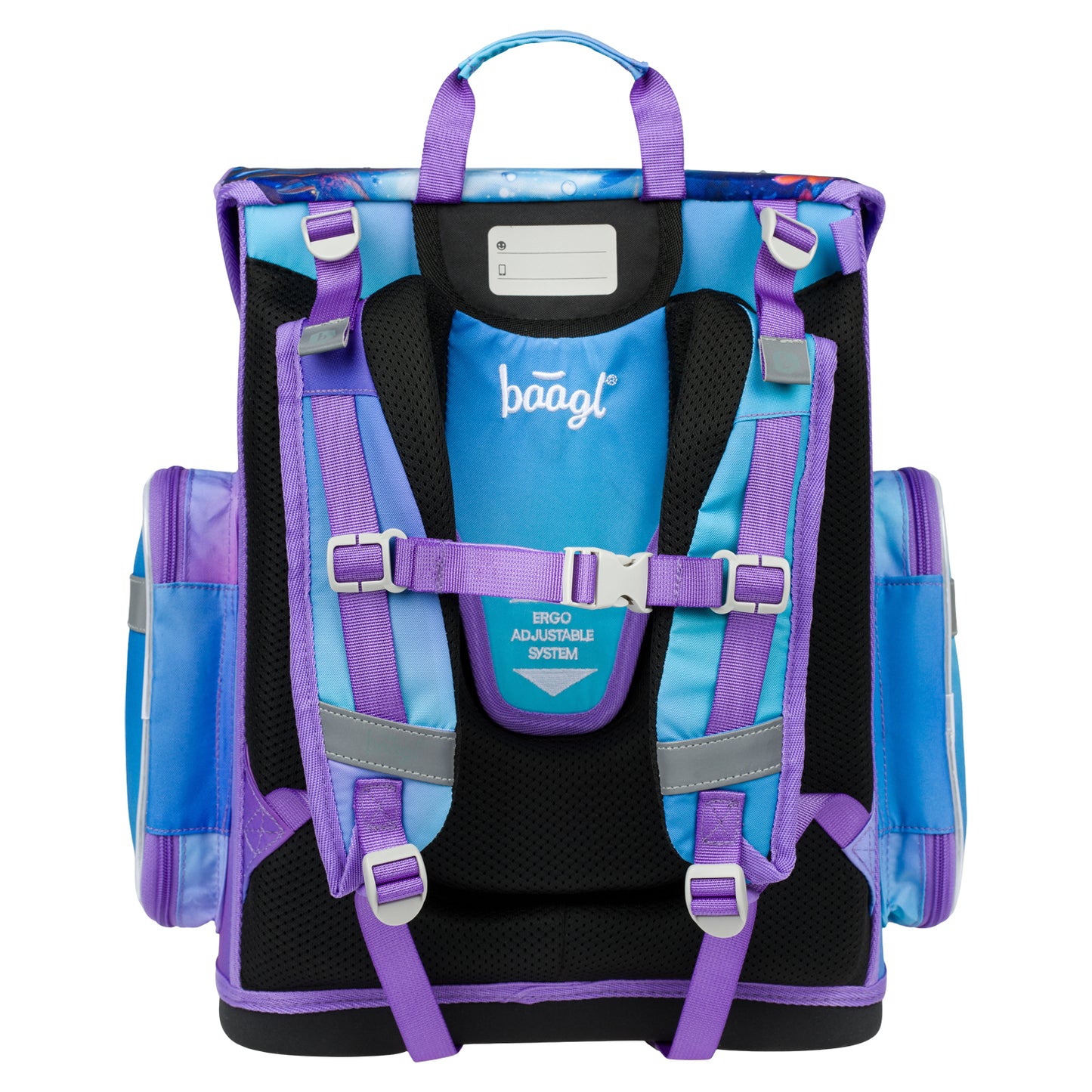 Zestaw szkolny Ergo Ambystoma meksykańska II