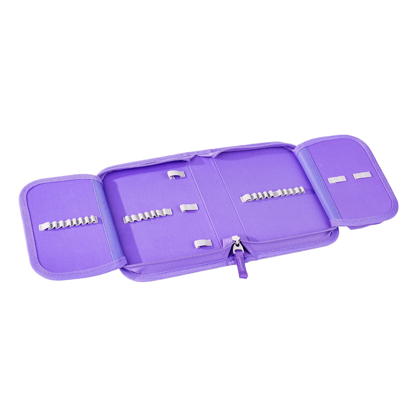 Zestaw szkolny Ergo Ambystoma meksykańska II