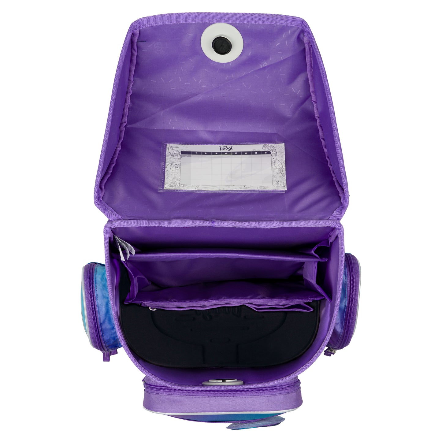 Tornister szkolny Ergo Ambystoma meksykańska