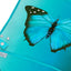 Fartuszek Butterfly