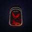 Zestaw szkolny Core Harry Potter Phoenix