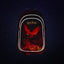 Zestaw szkolny Core Harry Potter Phoenix