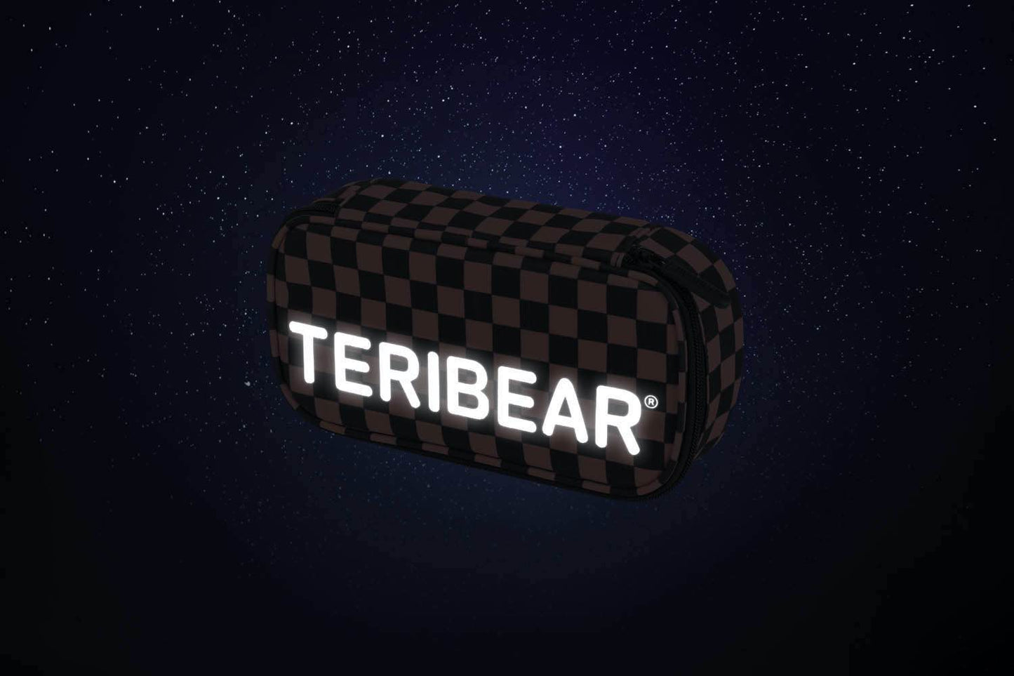 Piórnik szkolny TERIBEAR